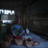 Landscape Depressions