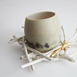 Egg and Nest (hatching)