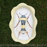 Save the bloody bees