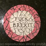 Fuck Brexit plate