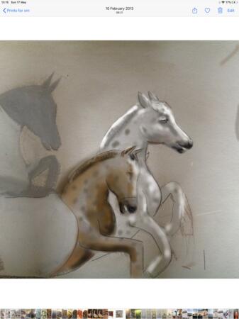 Run like the wind sold