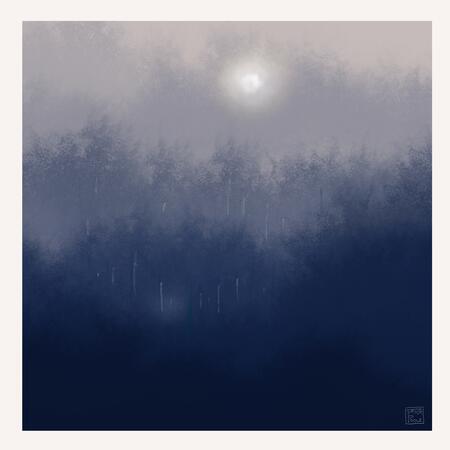 Hazy forest 