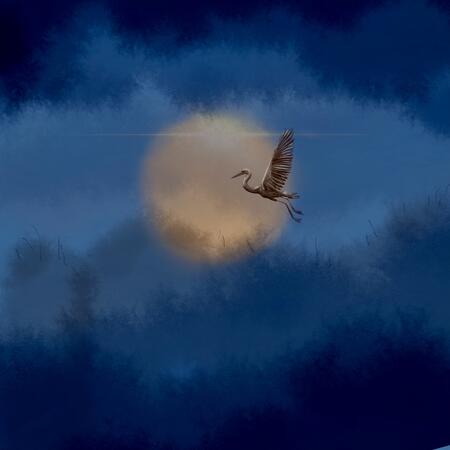 Fly me to the moon night 