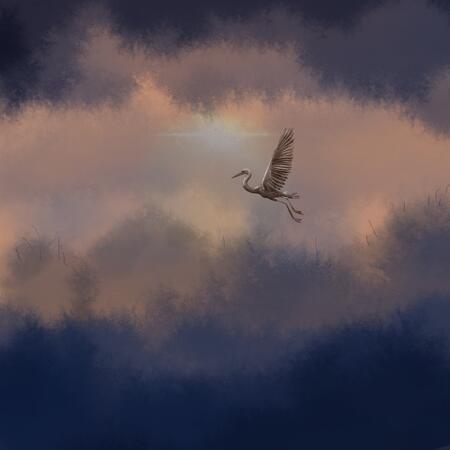 Fly me to the moon sunset