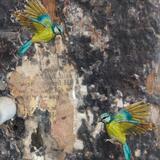 Flight of fancy sold