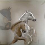 Run like the wind sold