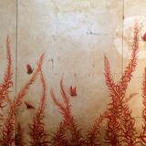 Butterfly on willow herb sold