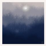 Hazy forest 