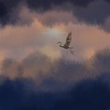 Fly me to the moon sunset