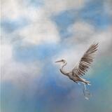 Sky heron