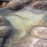 rock pool