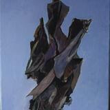 Dormant Canna in Winter