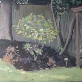 At the bottom of the garden