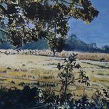 Morning walk Horsley