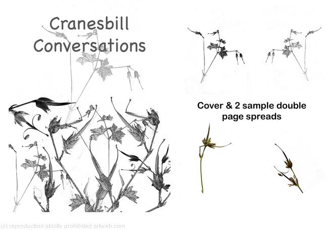 Cranesbill Conversations