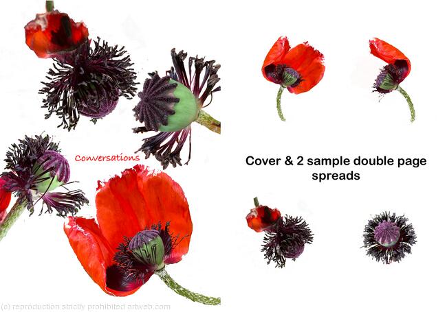 Poppy Conversations 2