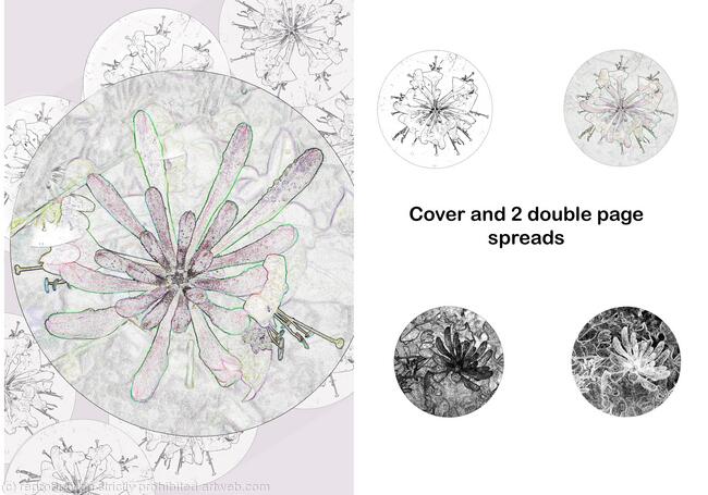 Honeysuckle Conversations 1