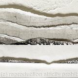 Landscape 5 close up