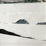 Landscape 7 close up