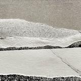 Landscape 9 close up