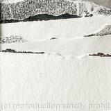 Landscape 12 close up