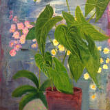 Window -Sill - Orchid