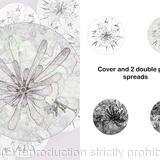 Honeysuckle Conversations 1