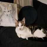 Art Imitating Life...4