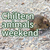 September’s themed weekend course