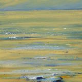 Camber, Winter Light II