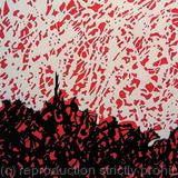 The Roots Beneath Our Feet