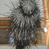 Lady Day (installation view)