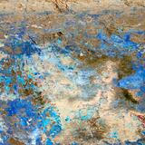 Blue Planet C-Type Print Signed Limited Edition 