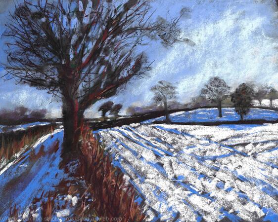 Snowy fields in Hampshire