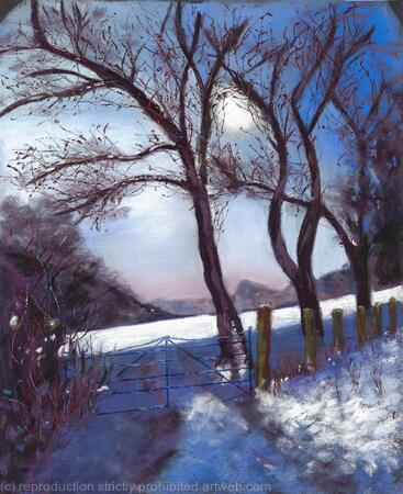 Moonlight over snowy fields