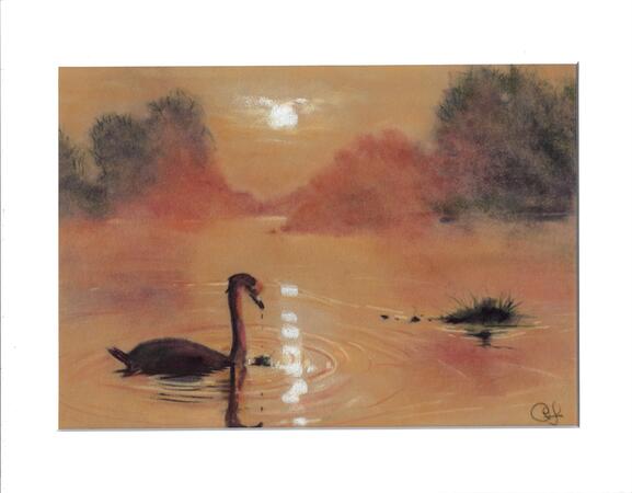 At Peace in Bushy Park