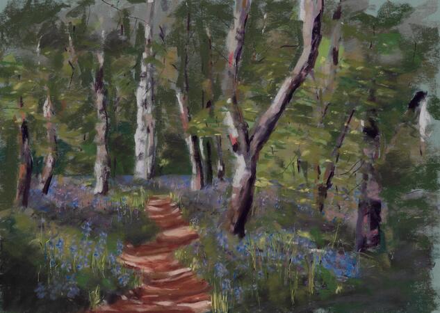 Bluebell Wood