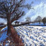 Snowy fields in Hampshire