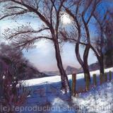 Moonlight over snowy fields