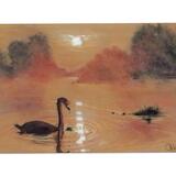 At Peace in Bushy Park