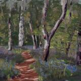 Bluebell Wood
