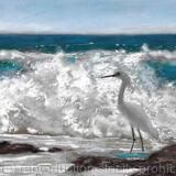 I know you're here somewhere!