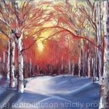 Setting sun through the birches