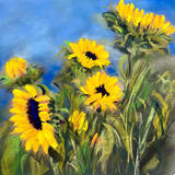 Sunflowers