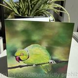 I've got my eye on you!