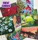 Selection of cards now available