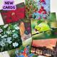 Selection of cards now available