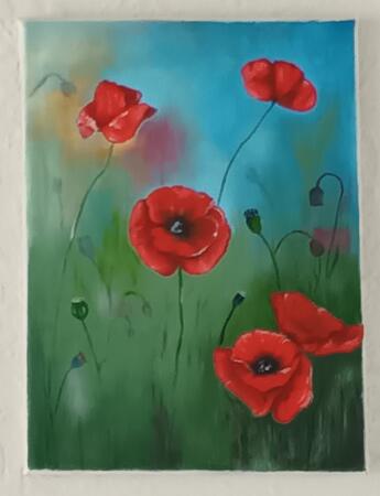 Poppies