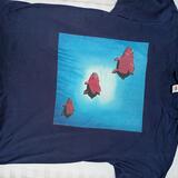 Fruit of the Loom T shirt