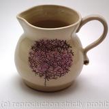 Allium Jug